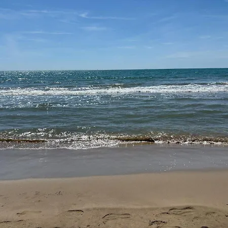 Tres Palmeras Alcanar